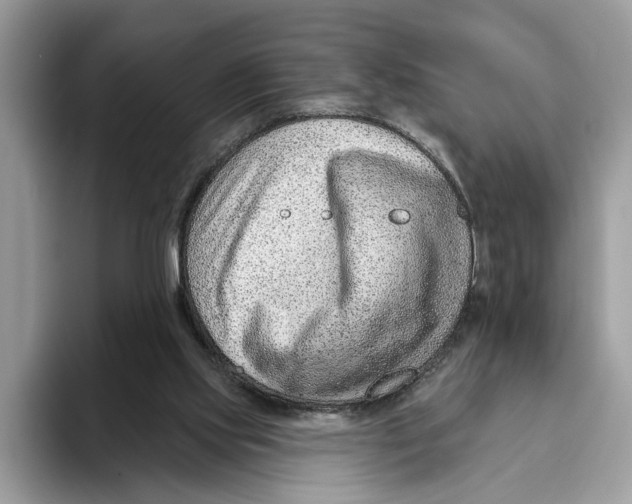 X0000093470061200711091615