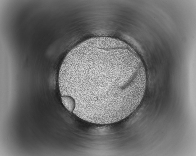 X0000093470065200711091615