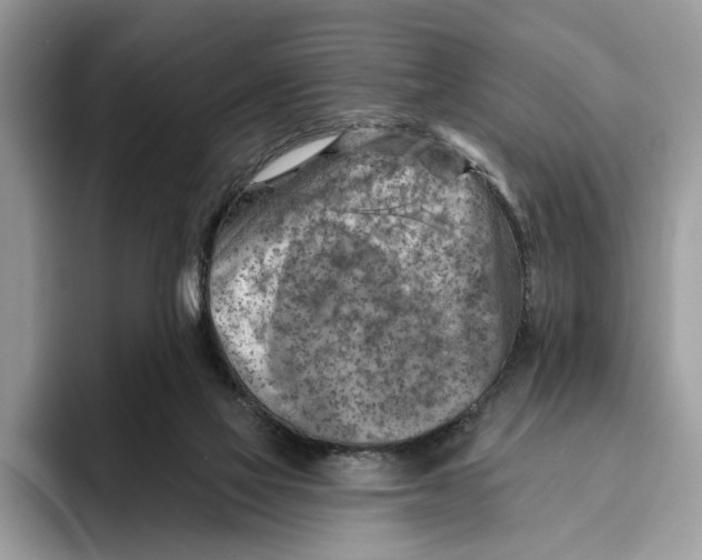 X0000093470069200711091615