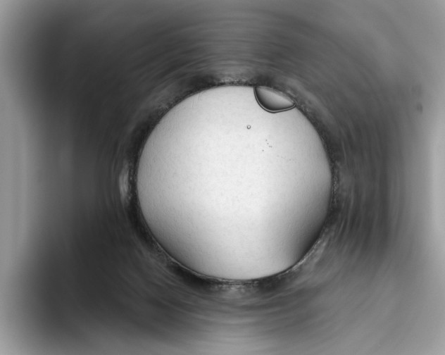 X0000093470074200711091615