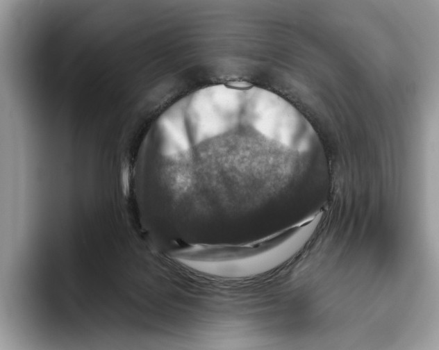 X0000093470076200711091615