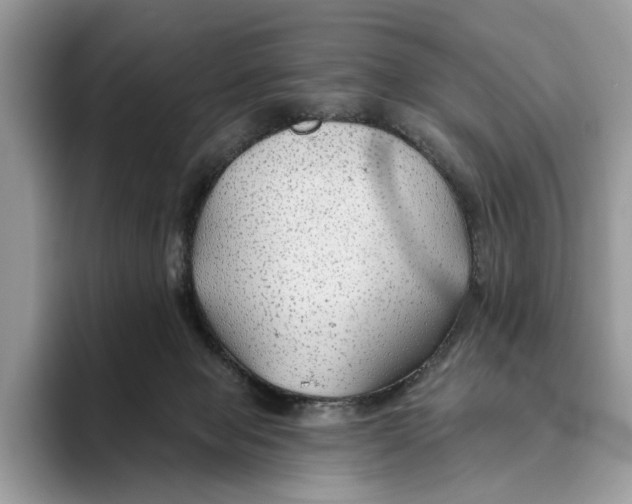 X0000093470077200711091615
