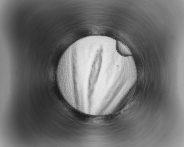 X0000093470078200711091615