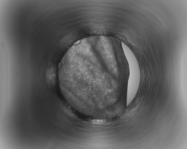 X0000093470080200711091616
