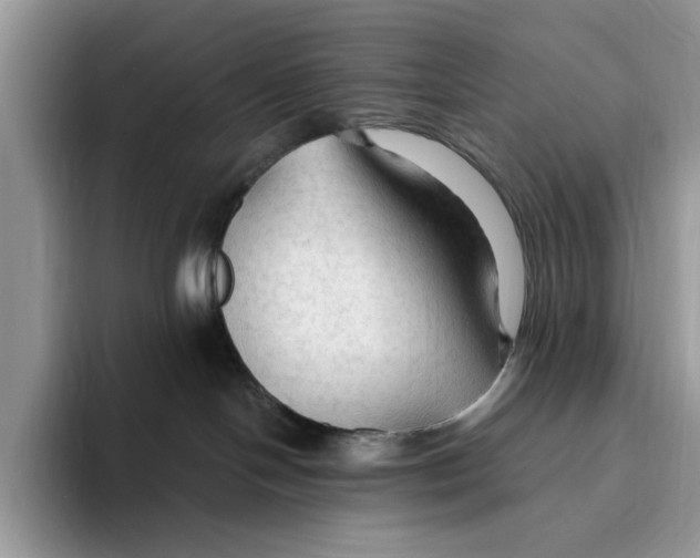 X0000093470094200711091616
