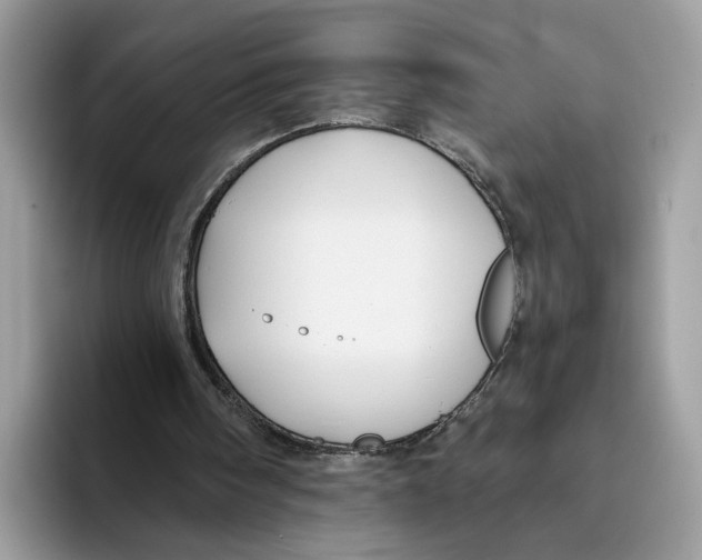 X0000093470098200711091615