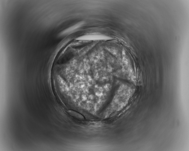X0000093470099200711091615