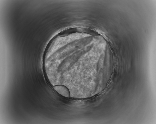X0000093470100200711091615