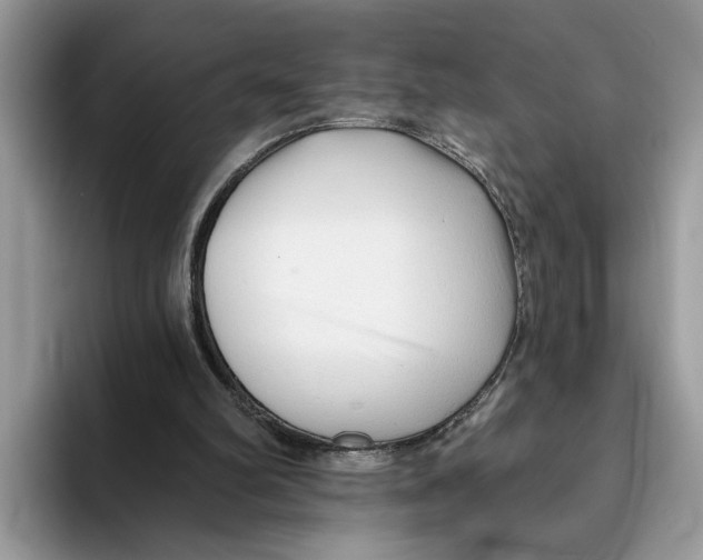 X0000093470102200711091615