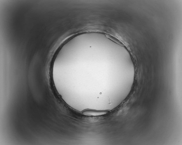 X0000093470103200711091615