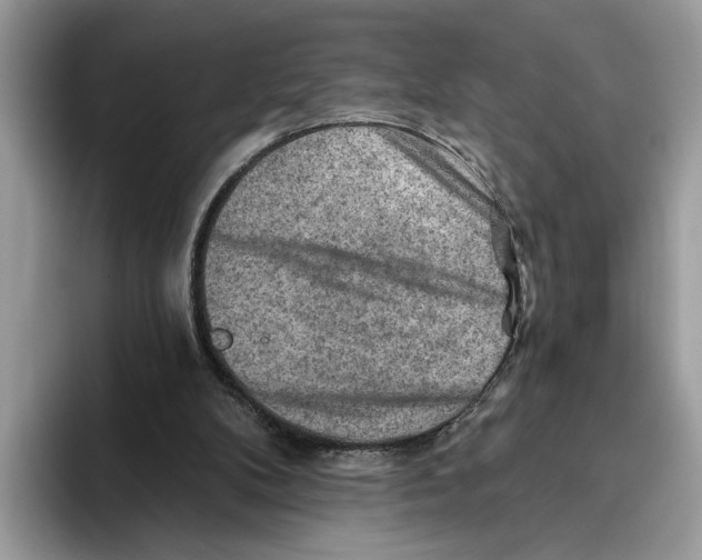 X0000093470104200711091615