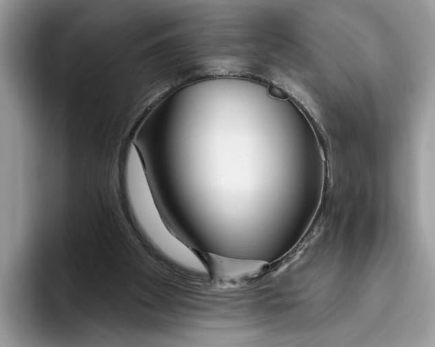 X0000093470105200711091615