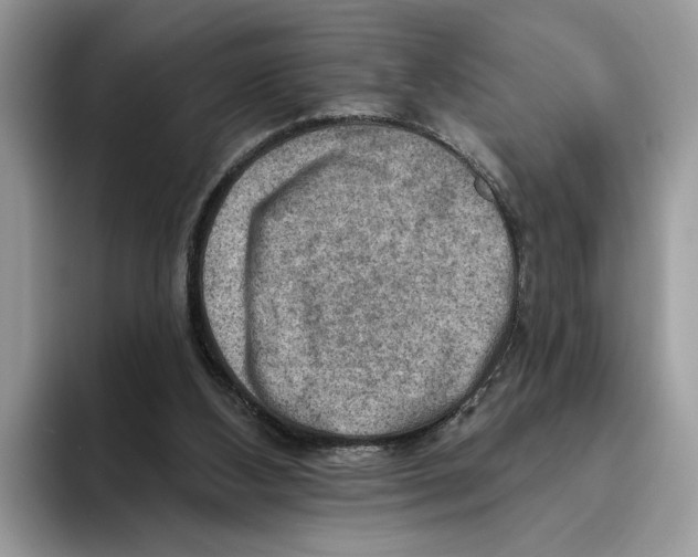 X0000093470108200711091615