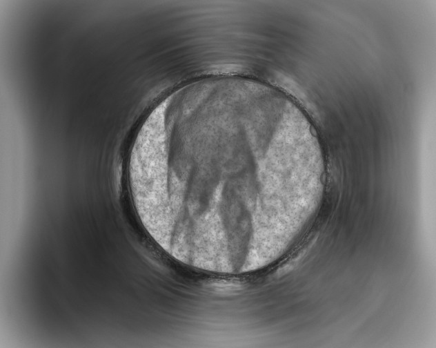 X0000093470110200711091615