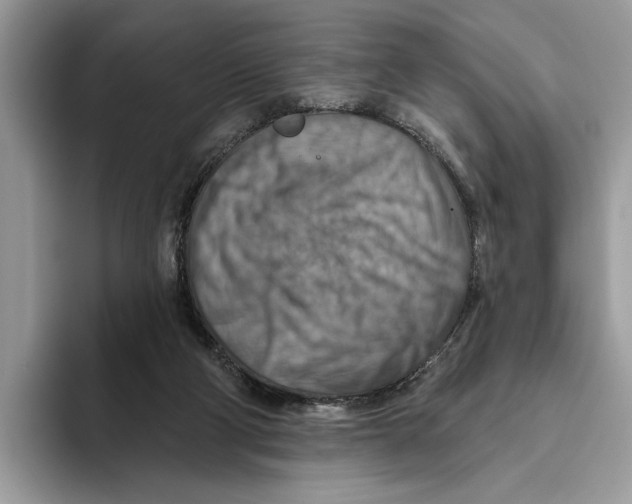 X0000093470114200711091615