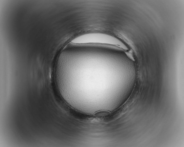 X0000093470115200711091615
