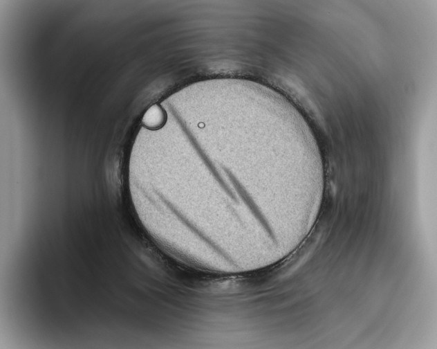 X0000093470116200711091615