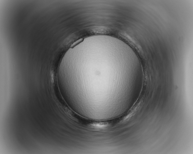 X0000093470117200711091615