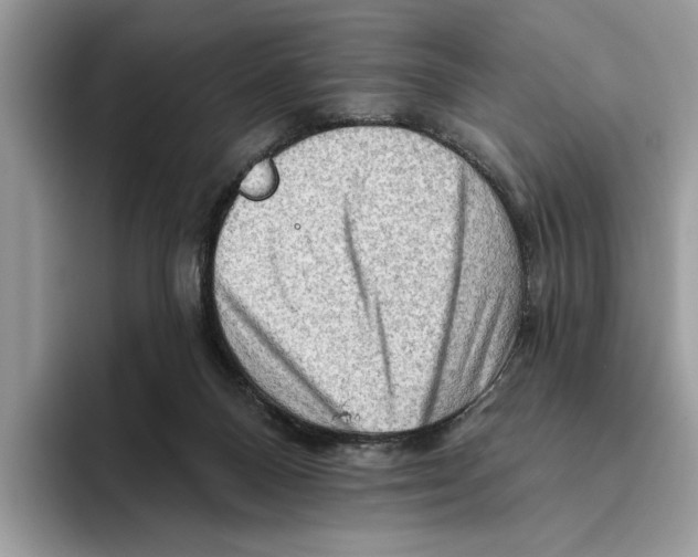X0000093470120200711091615