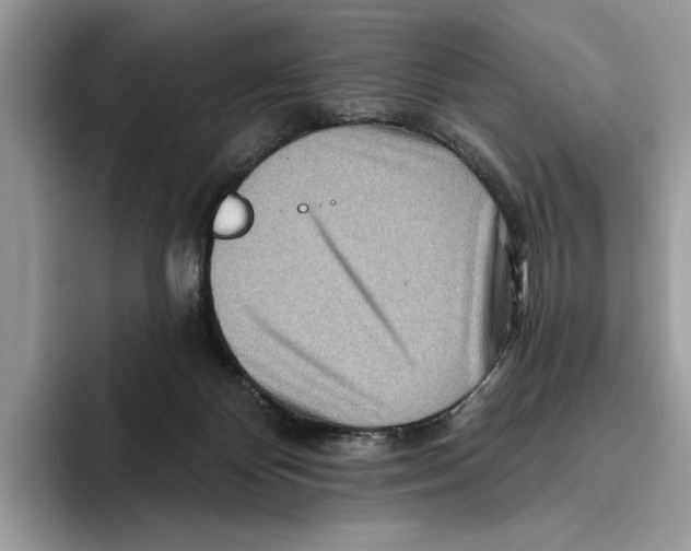 X0000093470124200711091615