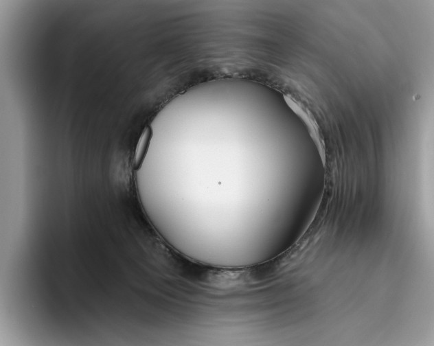 X0000093470129200711091615
