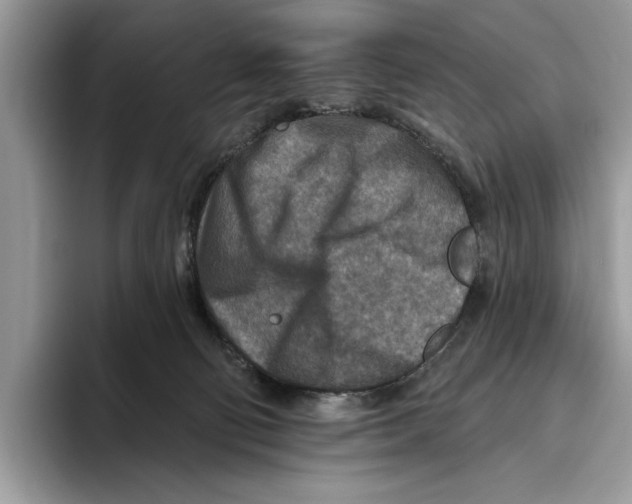X0000093470130200711091615