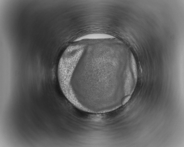 X0000093470131200711091615