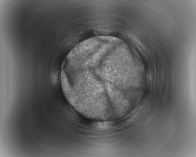 X0000093470134200711091615