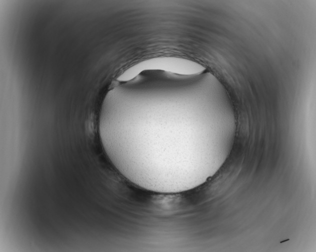 X0000093470135200711091615