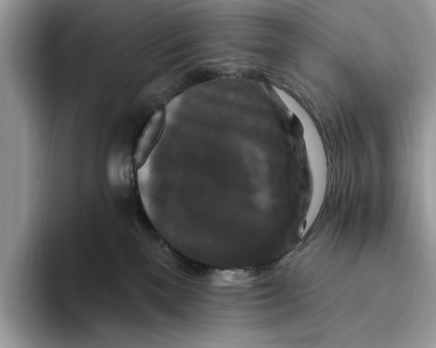 X0000093470137200711091615