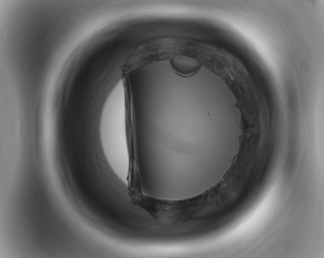 X0000093470143200711091615