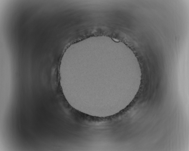 X0000093470144200711091615