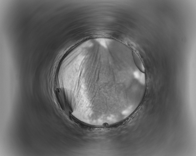 X0000093470145200711091614