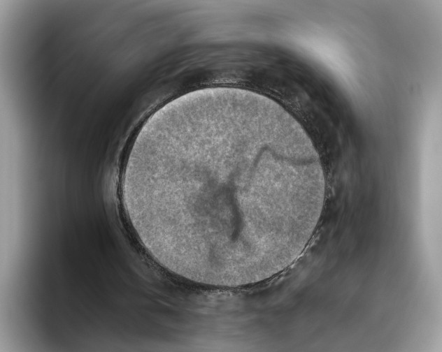 X0000093470146200711091614