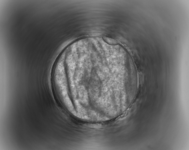 X0000093470147200711091614