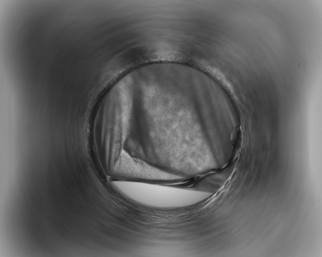 X0000093470154200711091614
