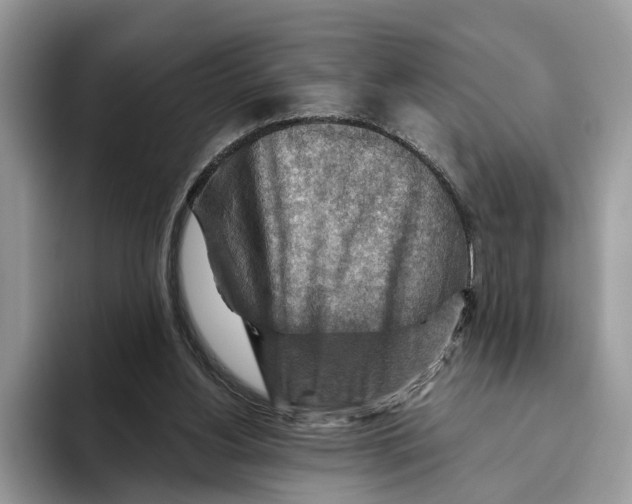 X0000093470156200711091614