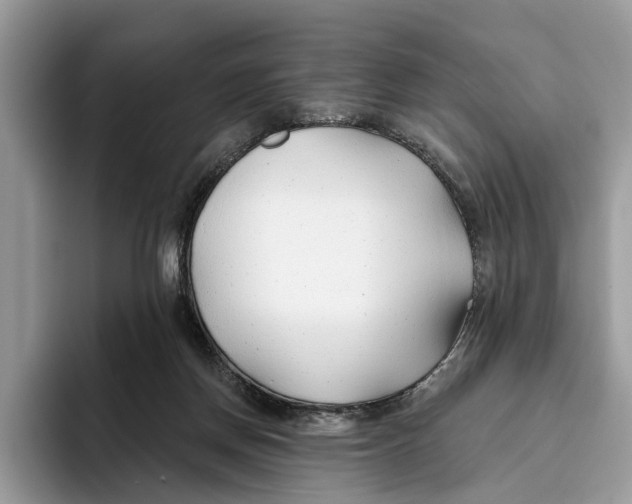 X0000093470166200711091614
