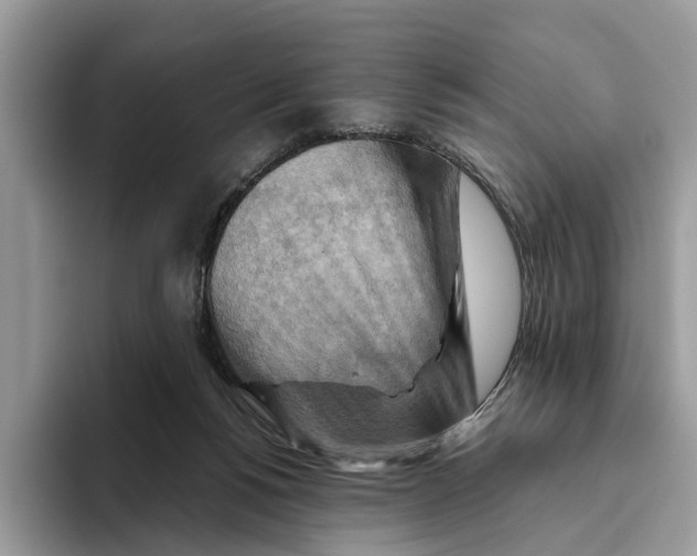 X0000093470168200711091614