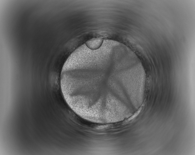 X0000093470178200711091614