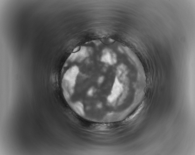 X0000093470182200711091614