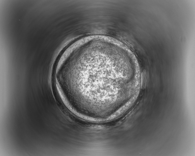 X0000093470195200711091614