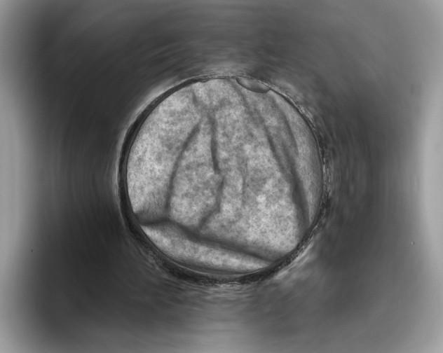 X0000093470196200711091614