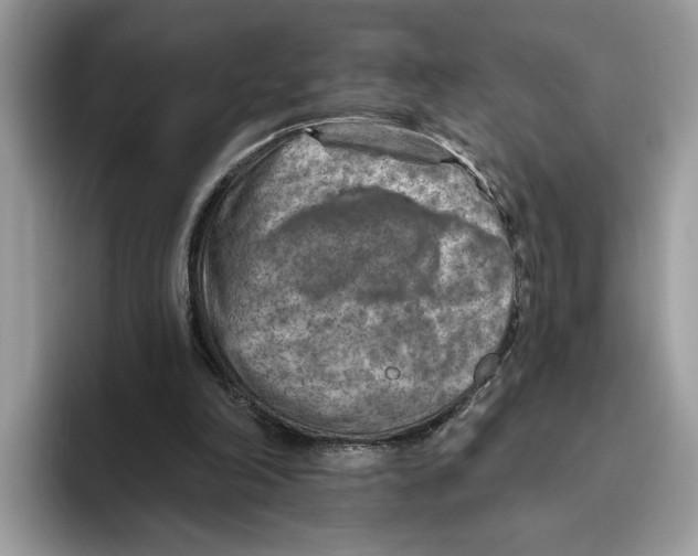 X0000093470198200711091614