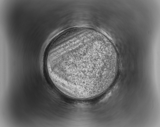 X0000093470199200711091614