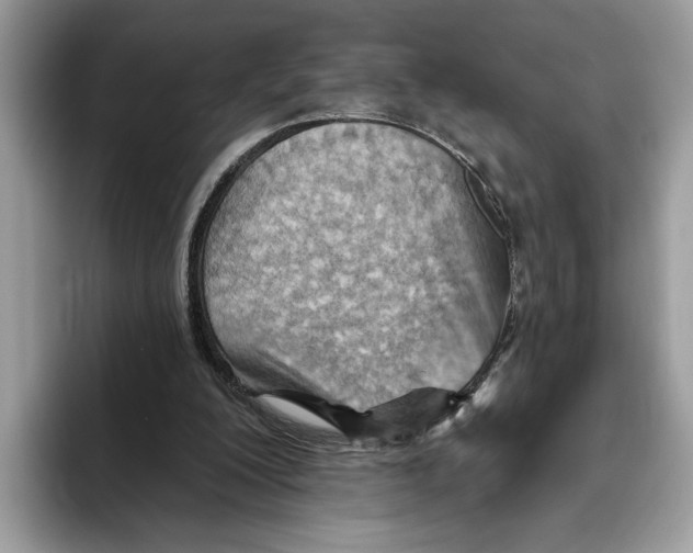 X0000093470200200711091614