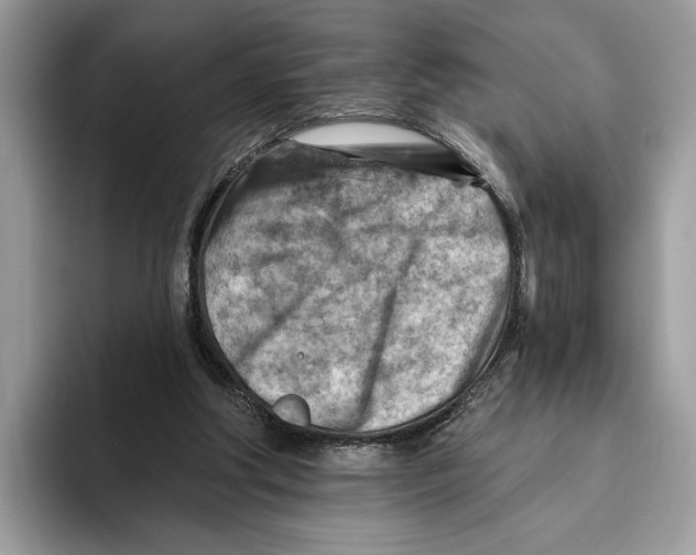 X0000093470202200711091614