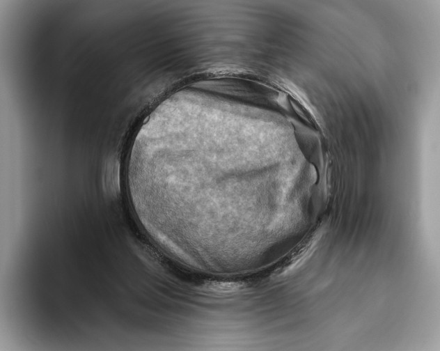 X0000093470205200711091614