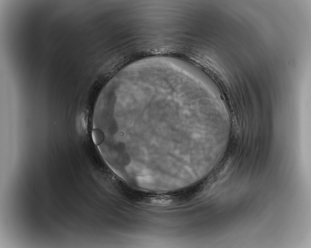 X0000093470214200711091614