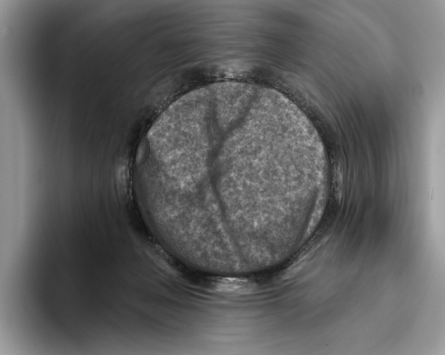 X0000093470222200711091614